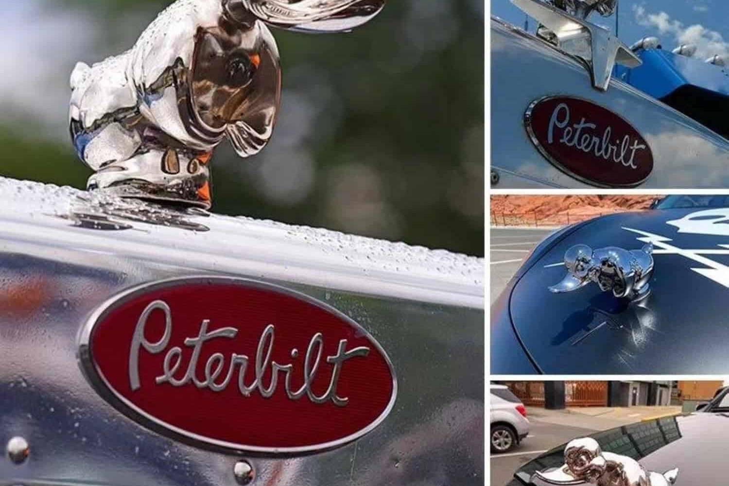 BAD ASS DUCK-CHROME HOOD ORNAMENT