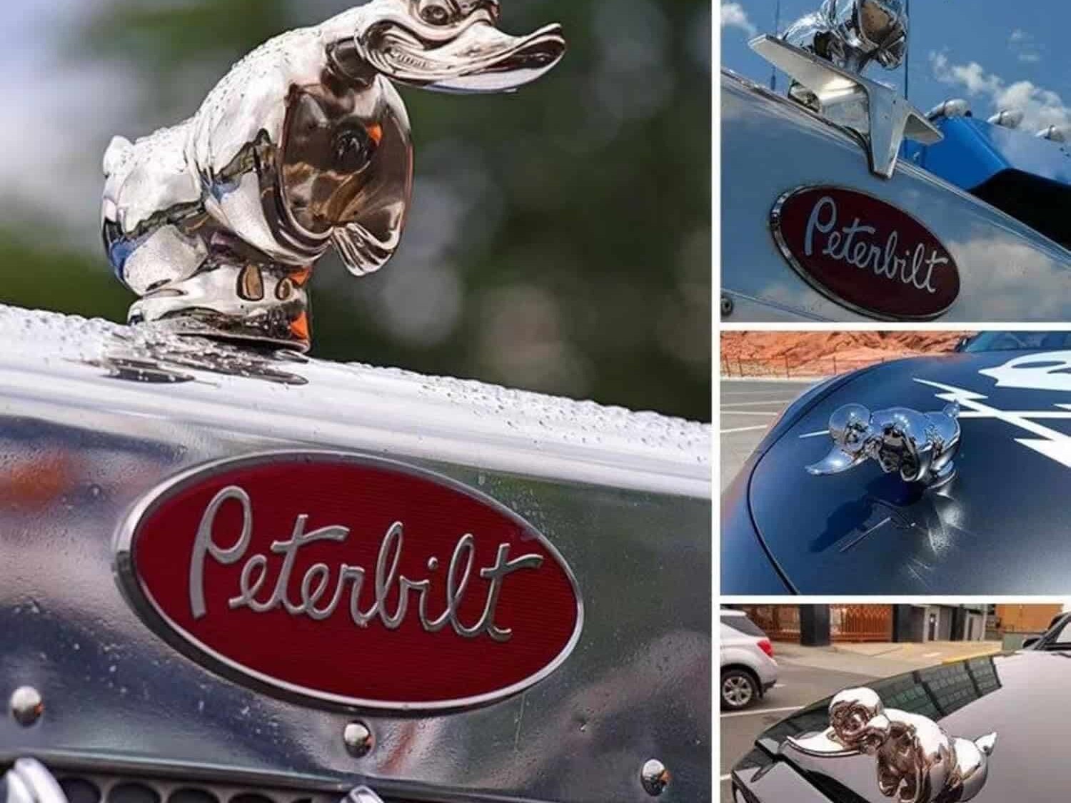 BAD ASS DUCK-CHROME HOOD ORNAMENT
